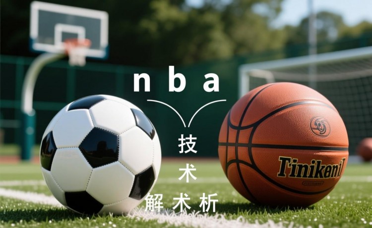 高清不卡免费视频在线观看官网